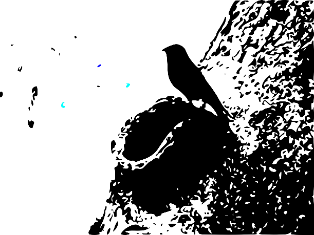 A black background with blue lights

Description automatically generated