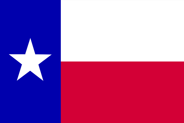 A flag with a white star

Description automatically generated