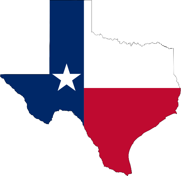 A map of texas with a flag

Description automatically generated